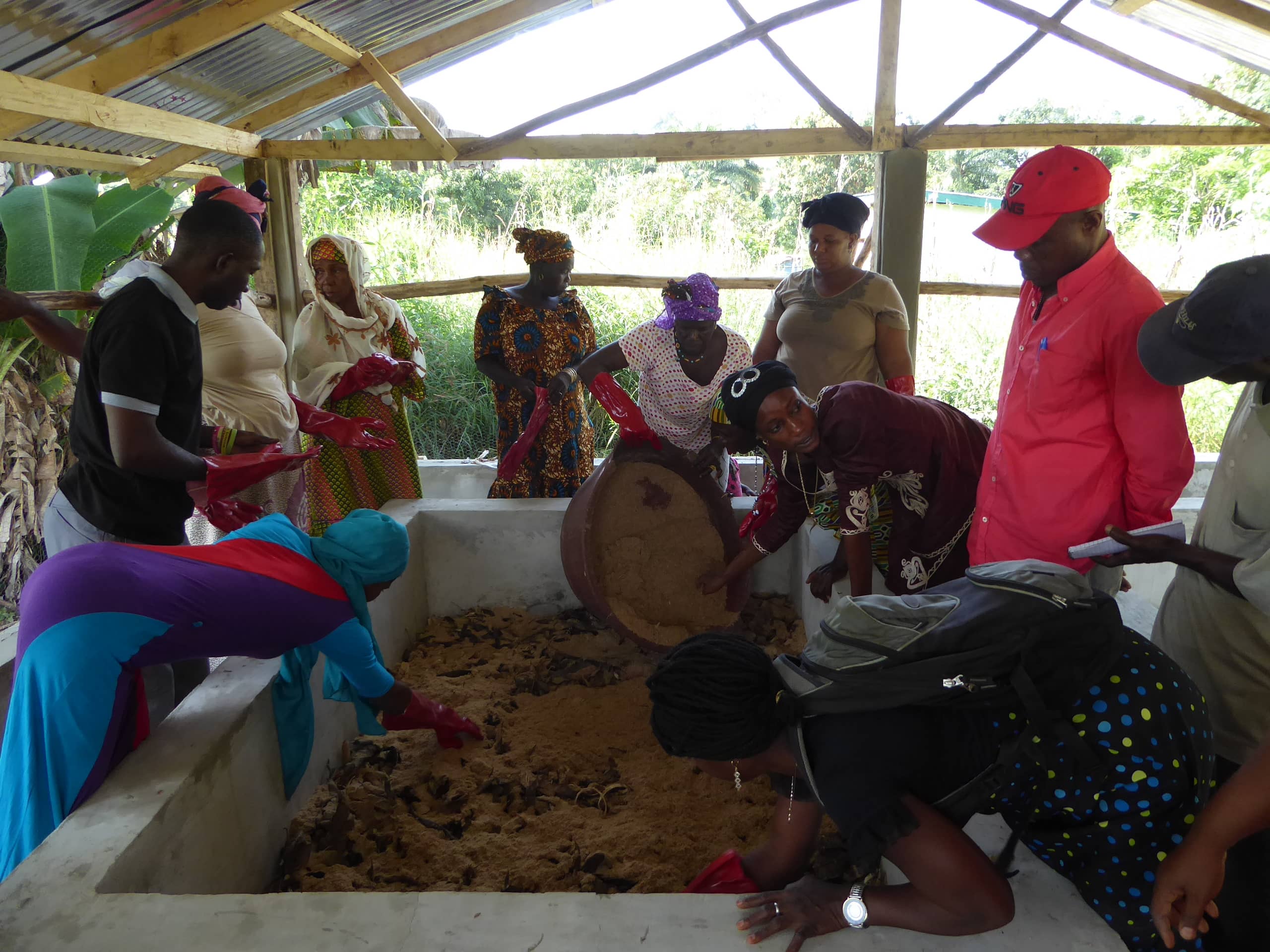 经过培训的妇女们，在细心打理蚯蚓。（照片︰Abdullah Ampilan / 乐施会）